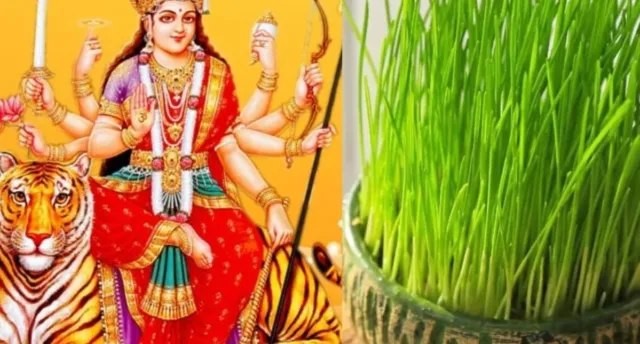 शारदीय नवरात्रि 2025: जौ बोने का रहस्य और पौराणिक महत्व | ताज़ा खबर